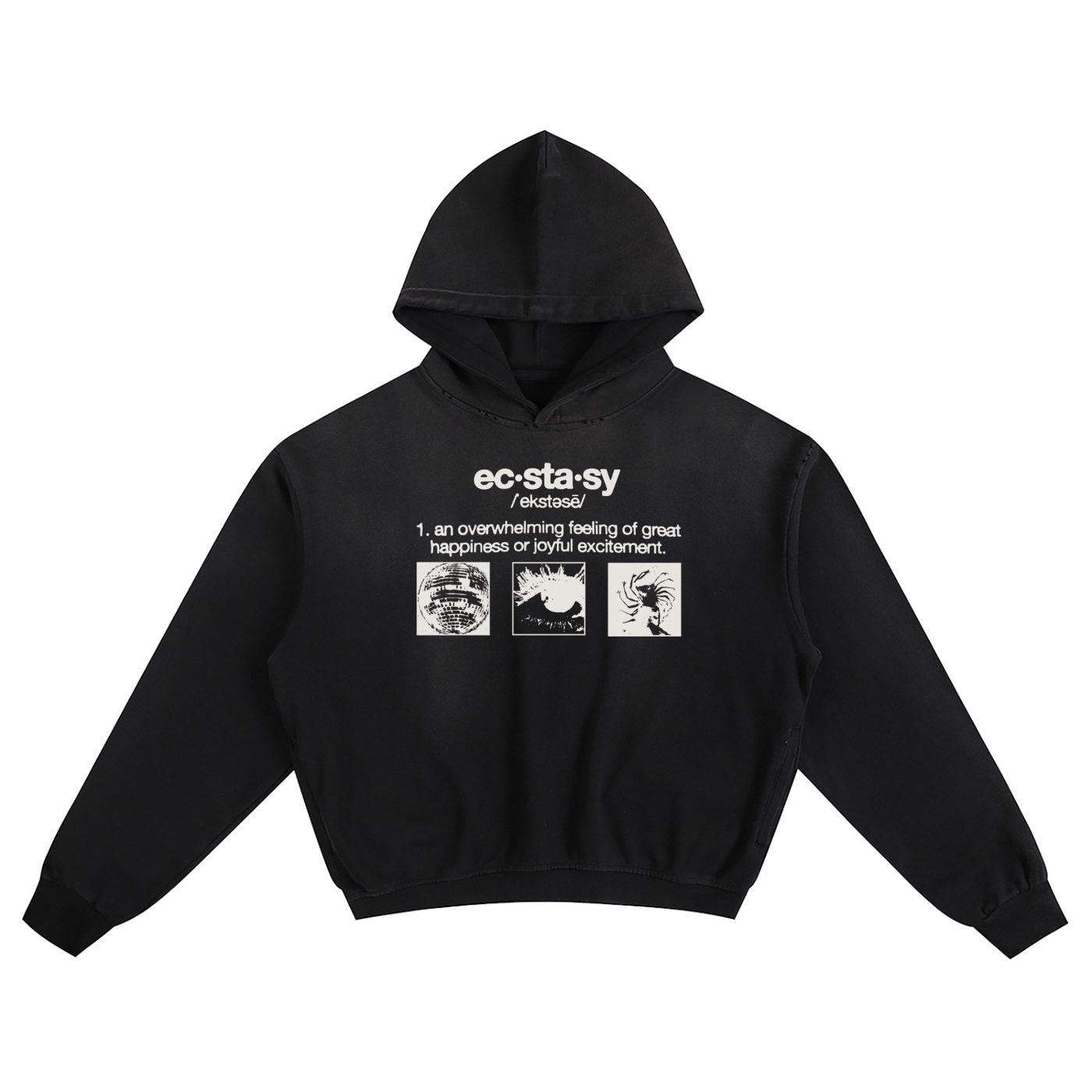DICTIONAIRY HOODIE