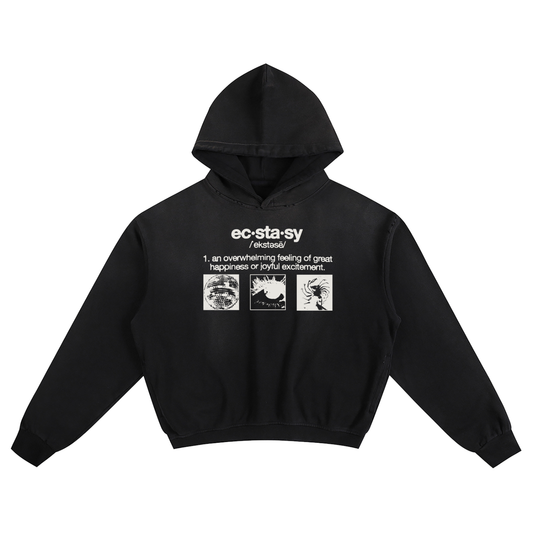 DICTIONAIRY HOODIE